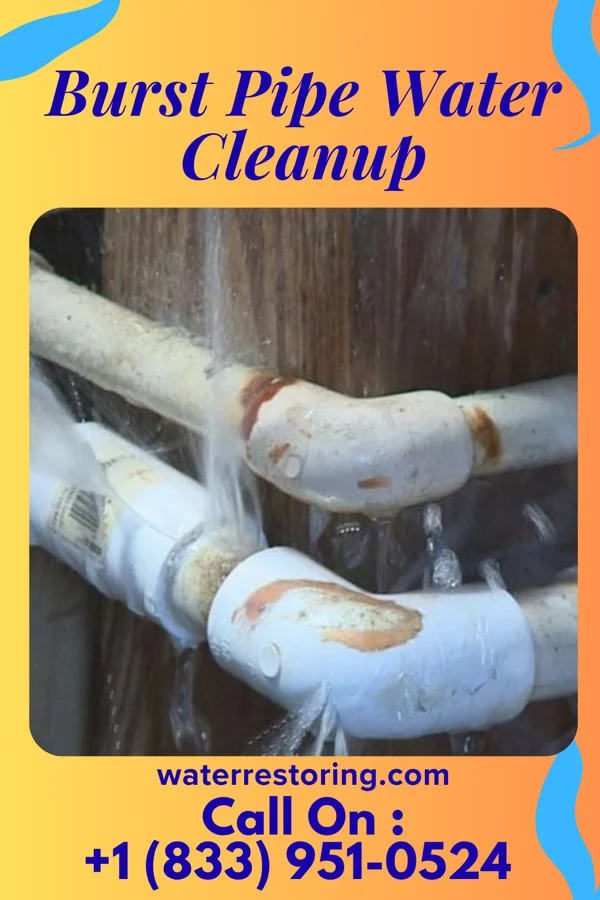 Burst Pipe Water Cleanup in Coeburn, VA