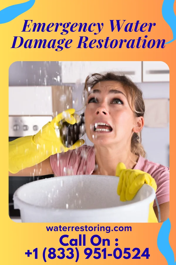Emergency Water Damage Restoration in Coeburn, VA