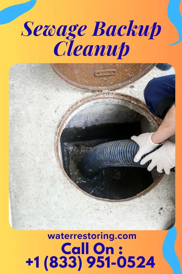 Sewage Backup Cleanup in Coeburn, VA